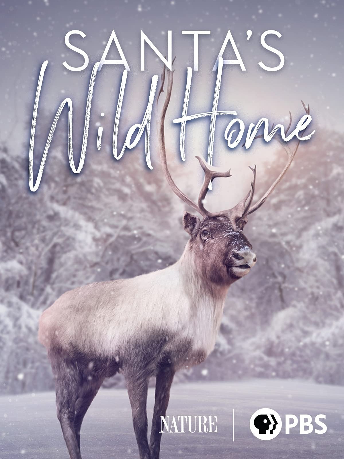 Santa's Wild Home photo