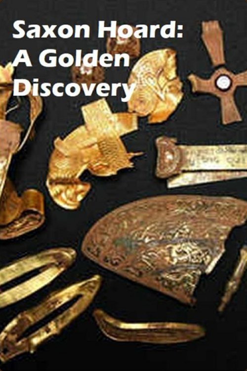 Saxon Hoard: A Golden Discovery photo