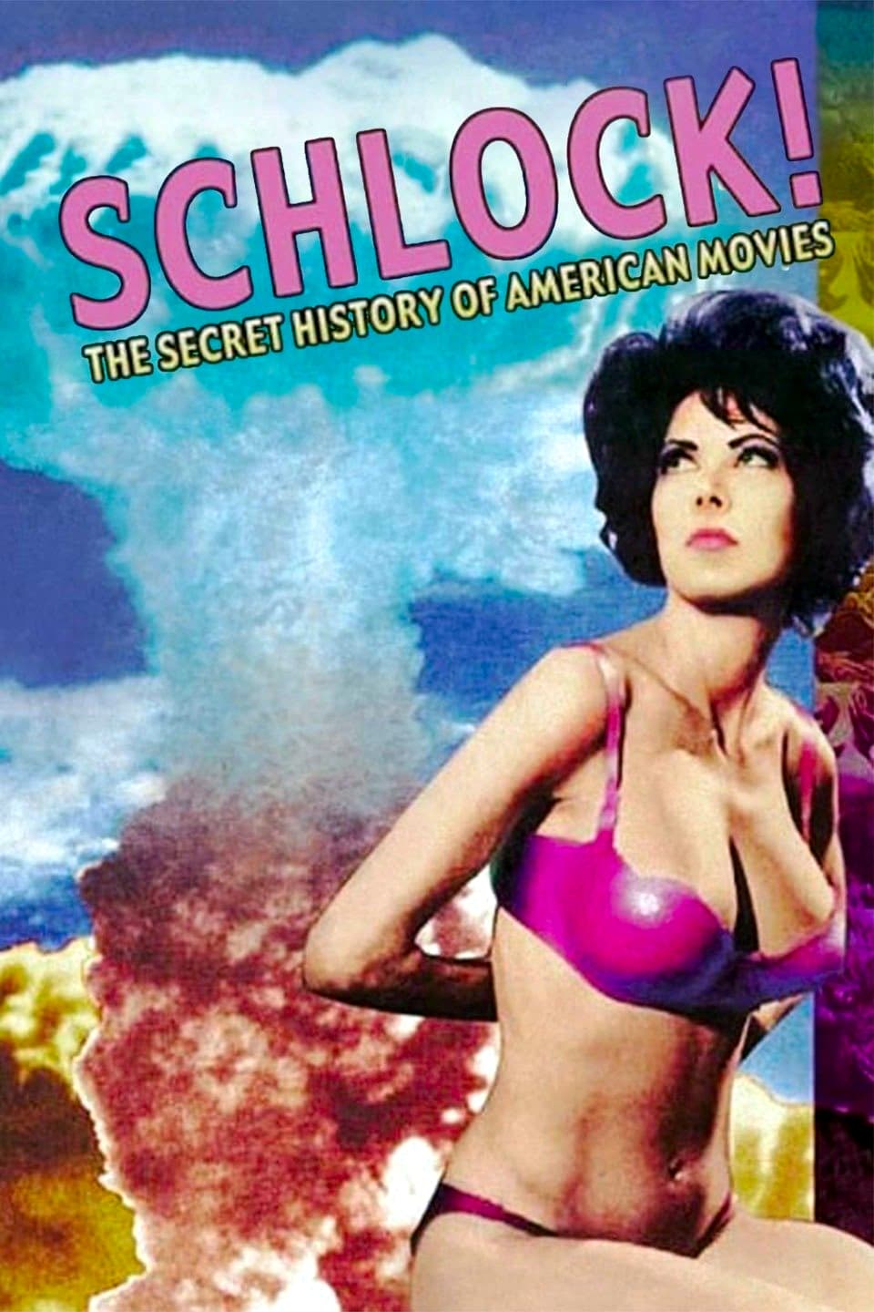 Schlock! The Secret History of American Movies photo