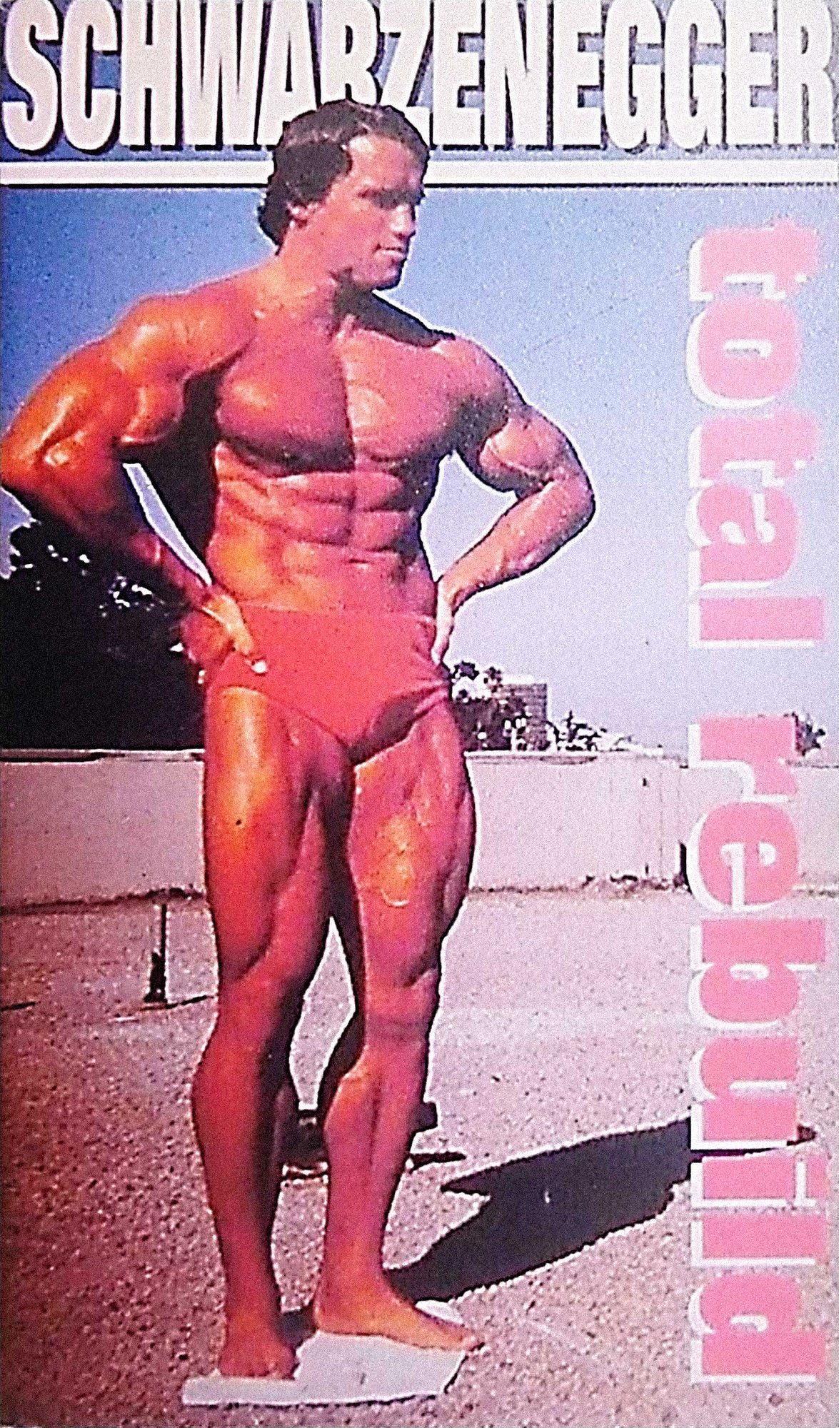 Schwarzenegger: Total Rebuild photo