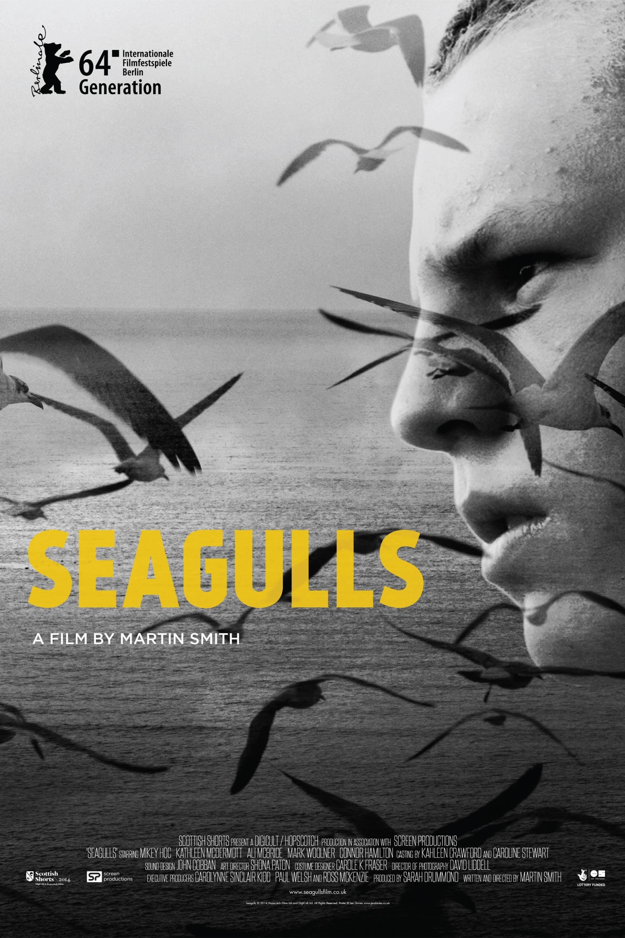 Seagulls photo