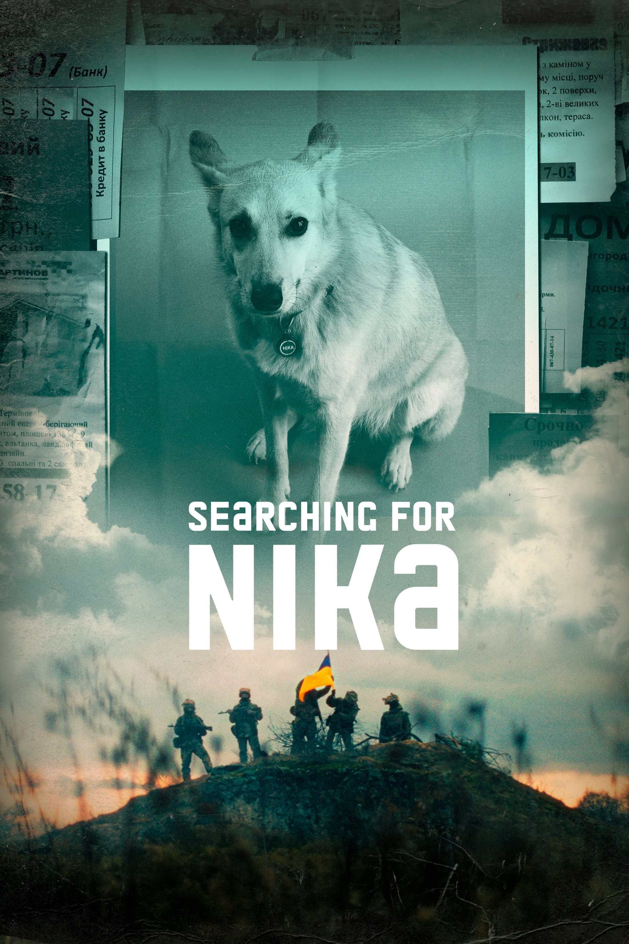 Searching for Nika photo