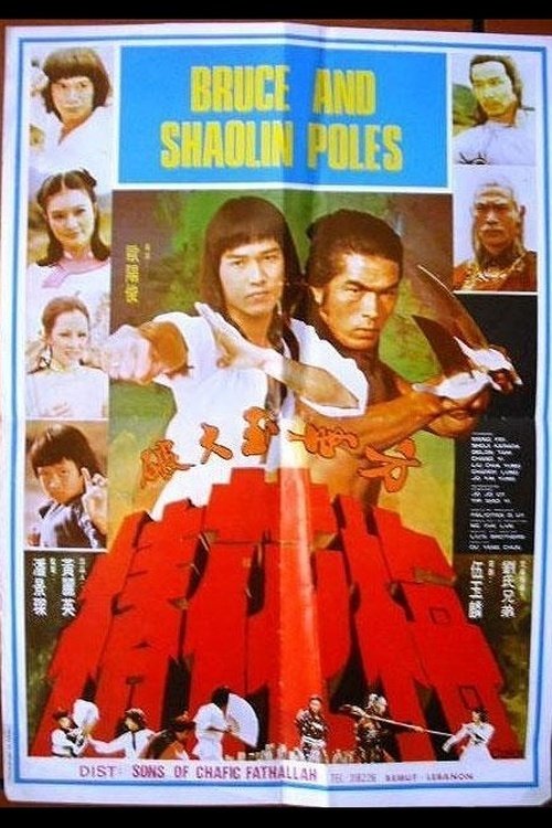 Secret of the Shaolin Poles photo