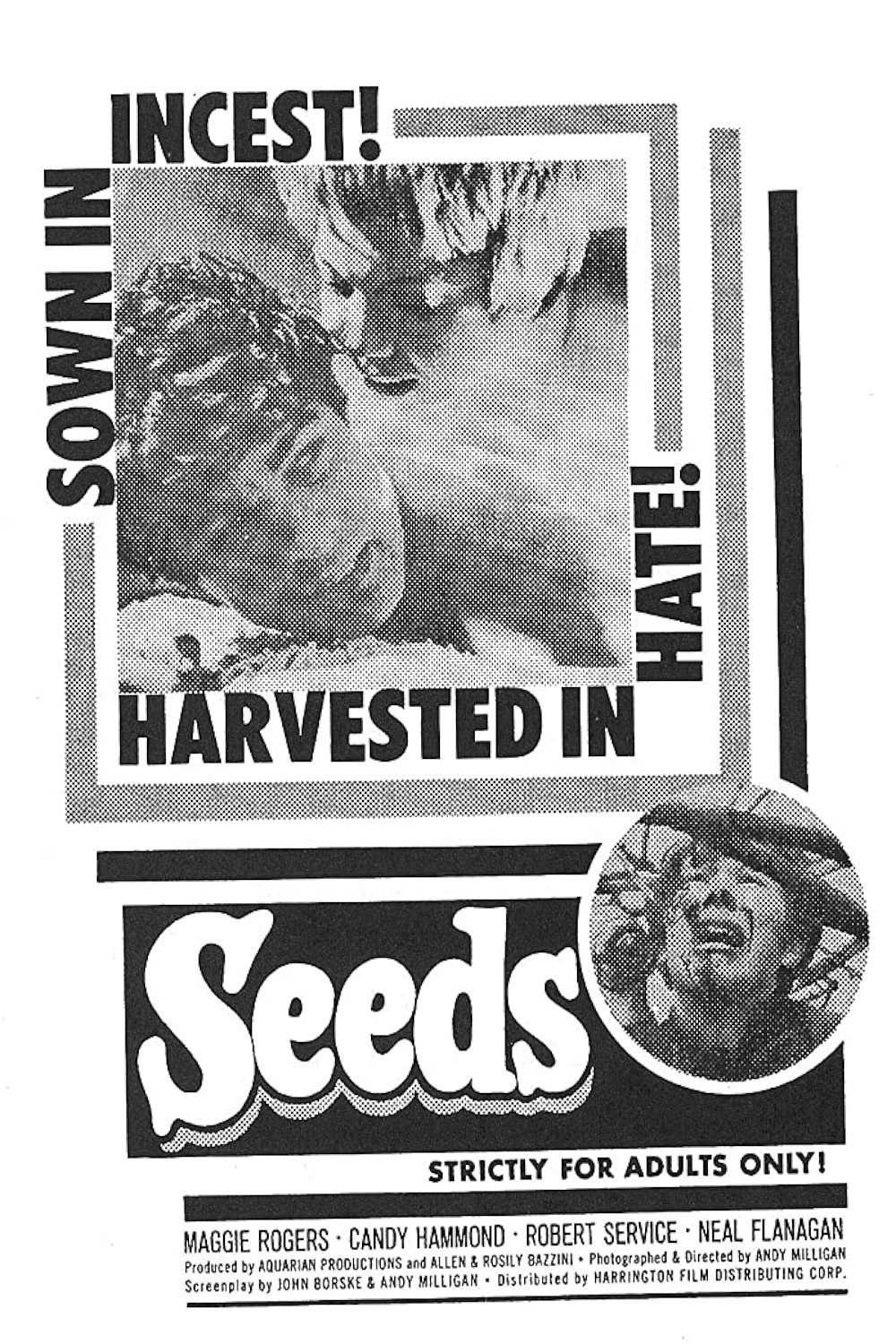 Seeds photo