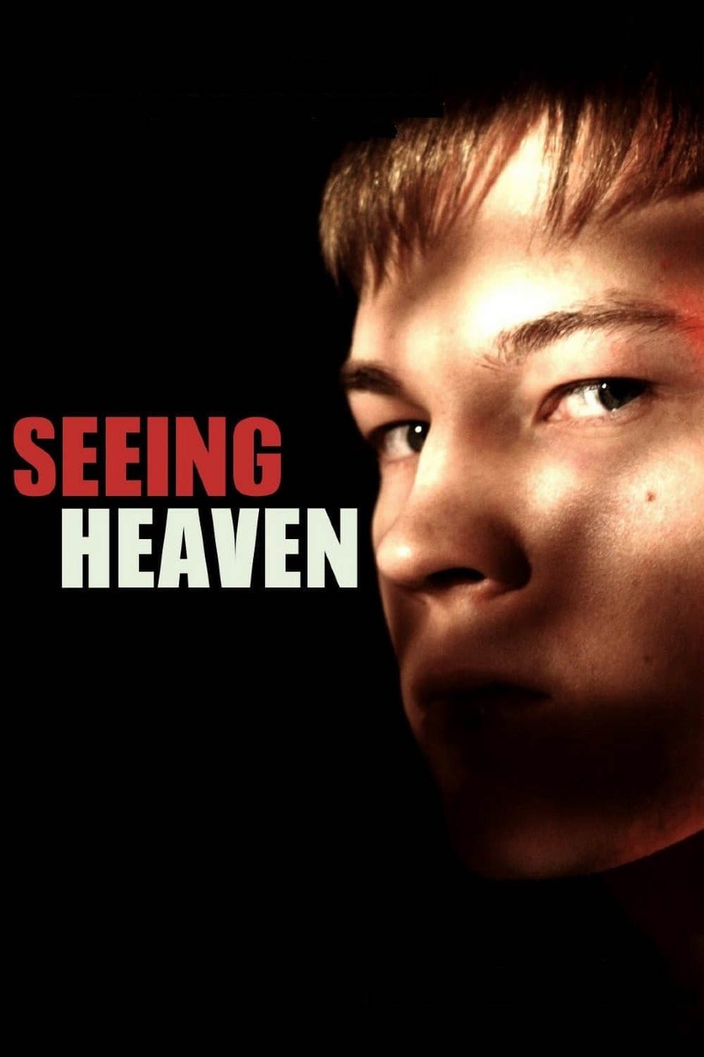 Seeing Heaven photo
