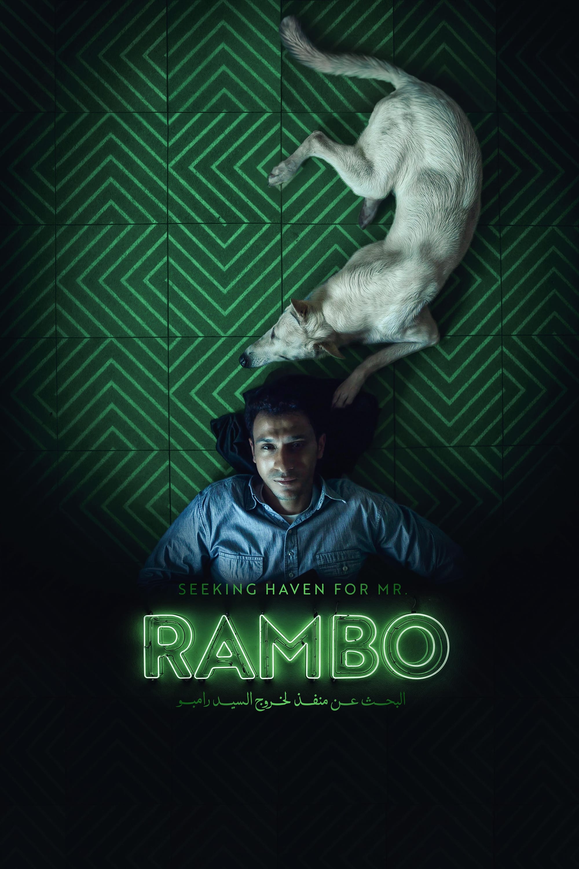 Seeking Haven for Mr. Rambo photo