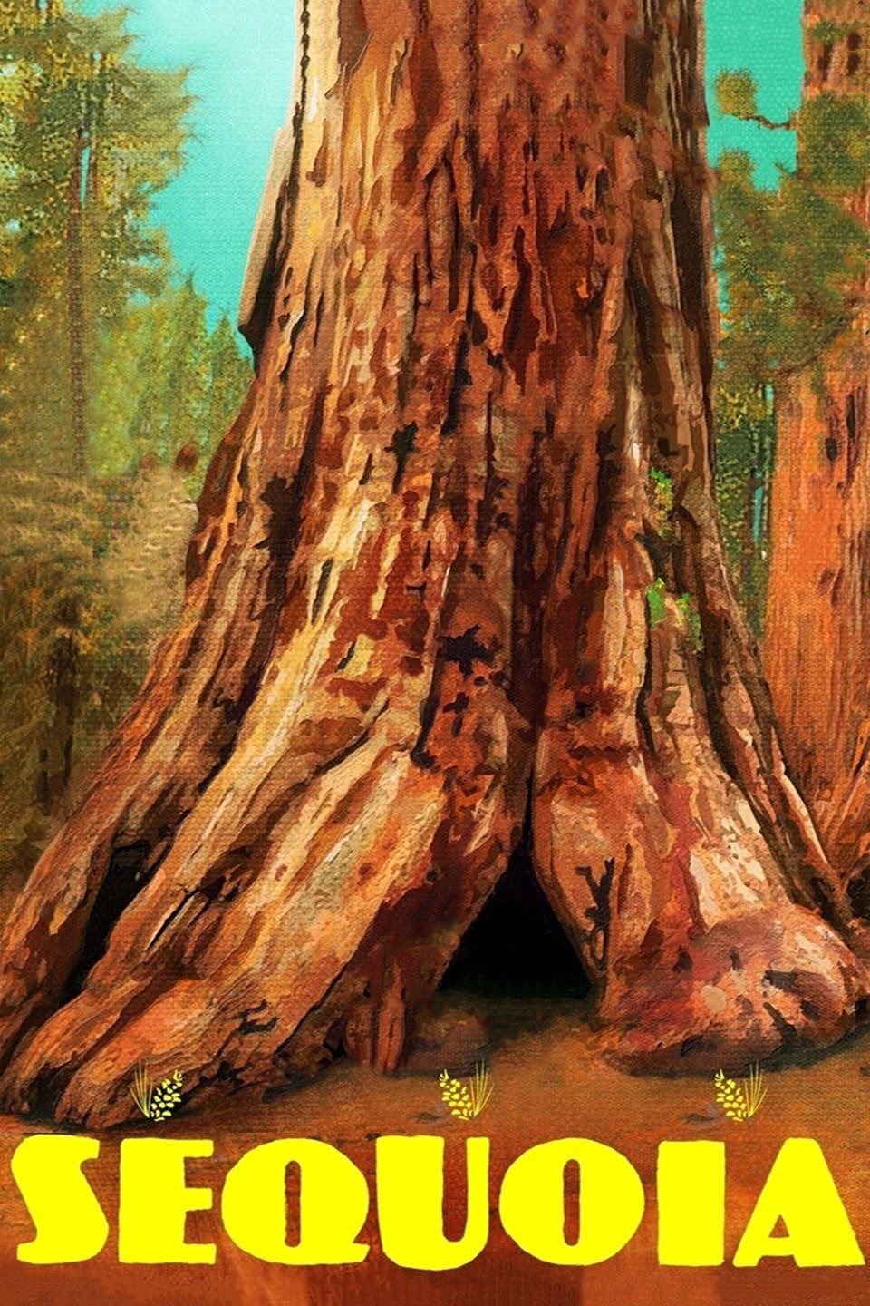 Sequoia photo