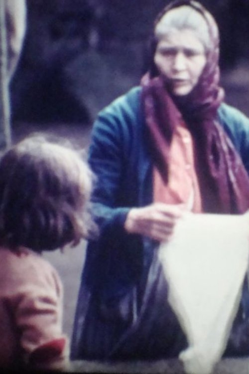 Sever do Vouga... Uma Experiência photo