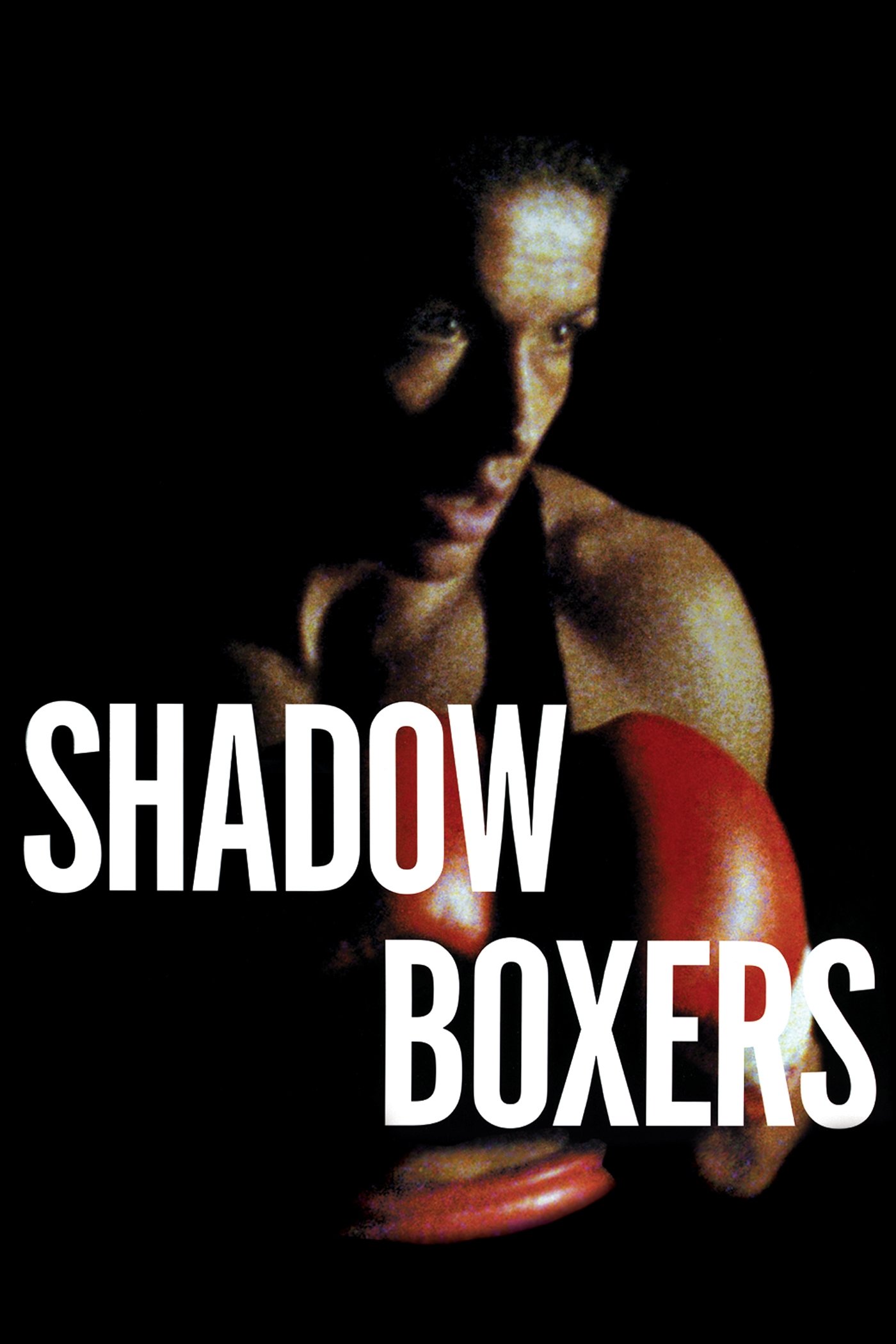 Shadow Boxers photo