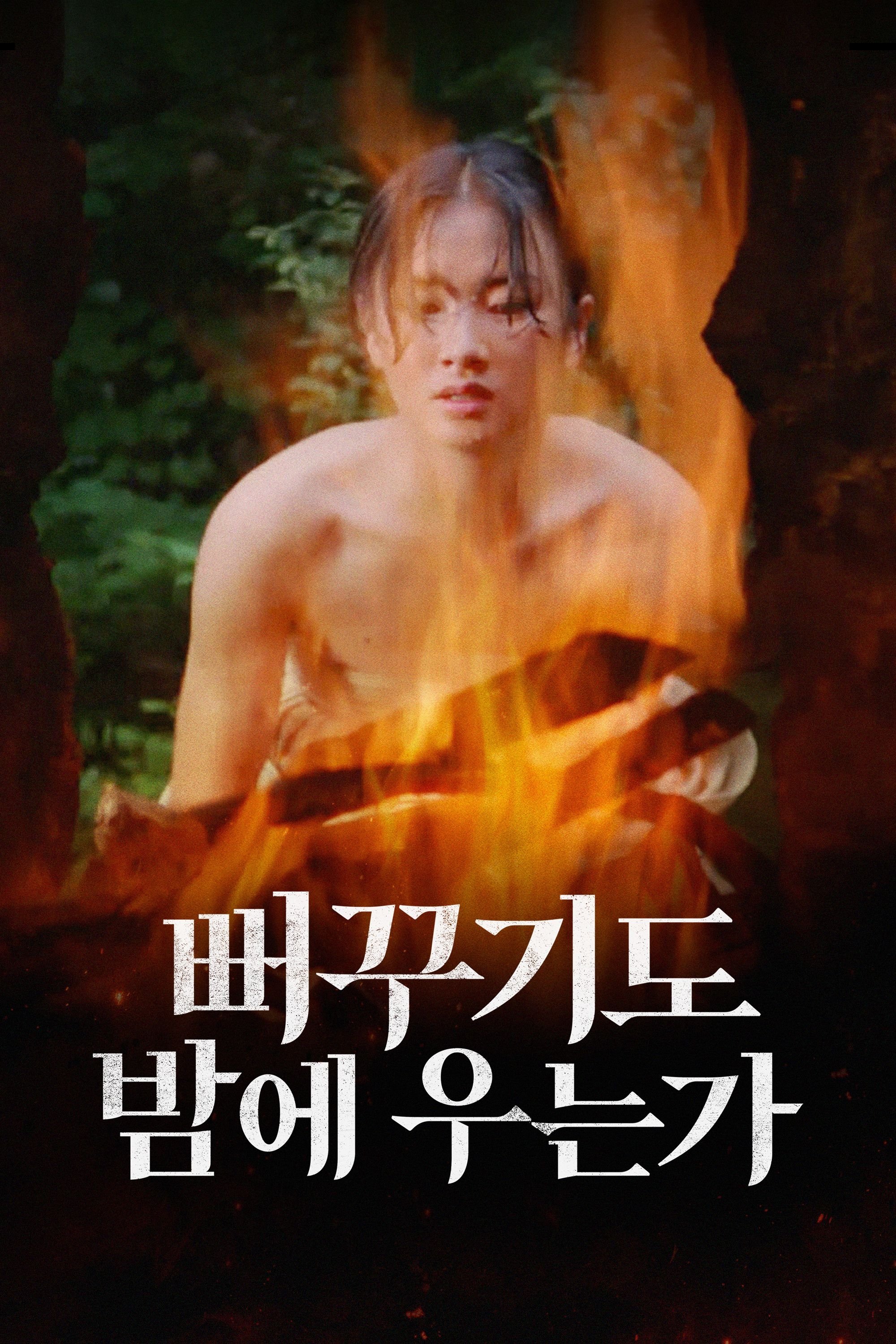 Shall Cuckoo Sing at Night photo