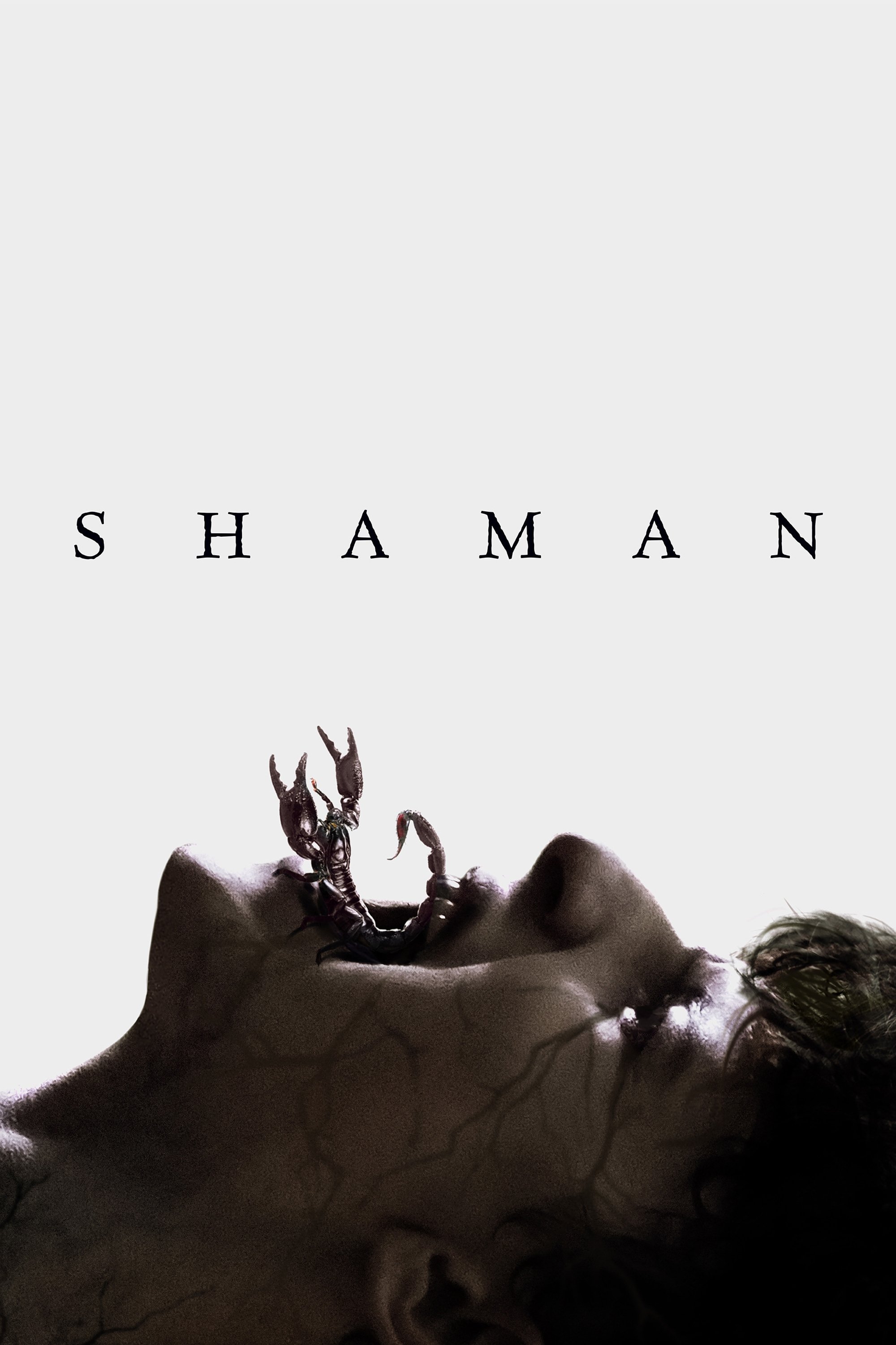 Shaman photo