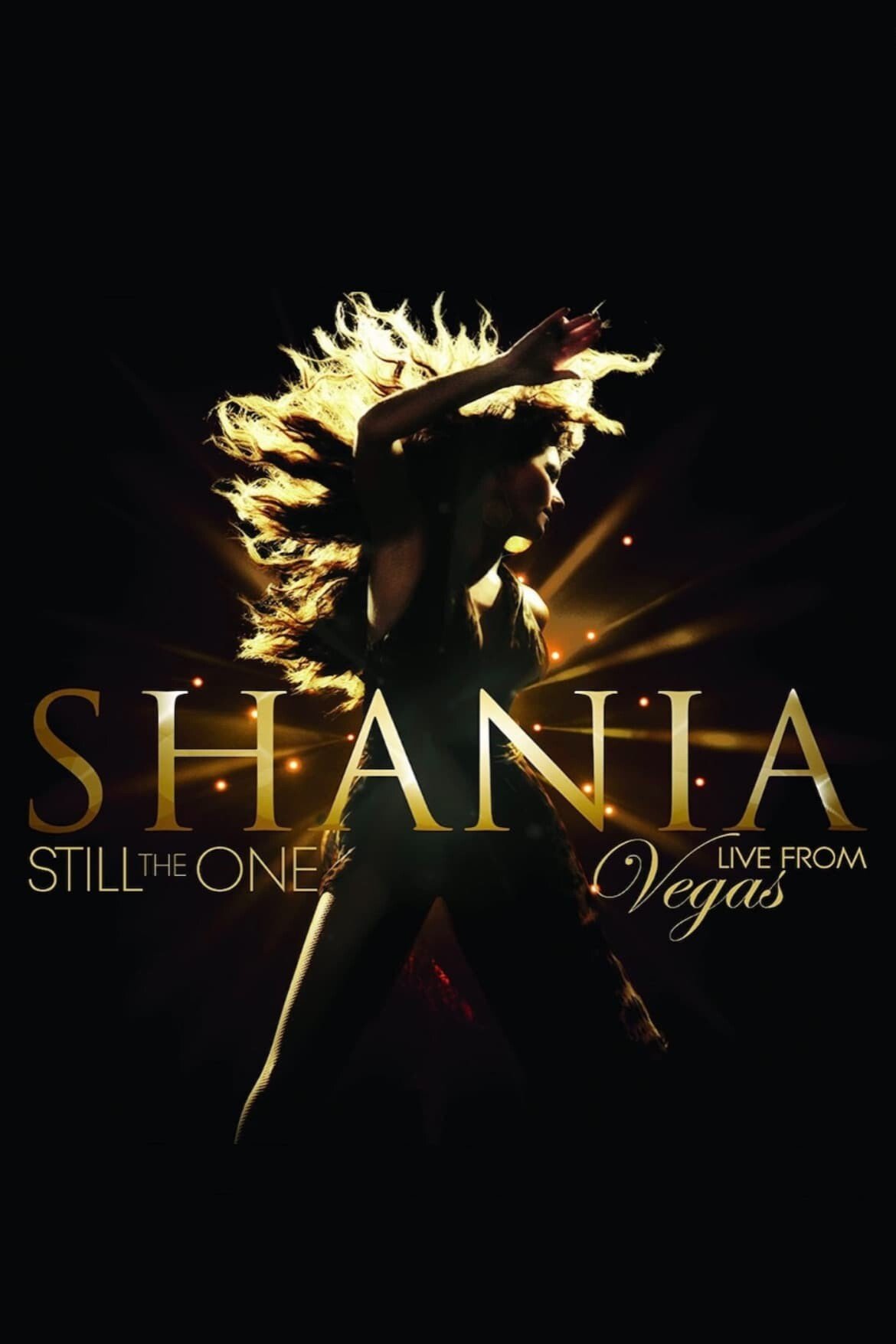 Shania: Still the One - Live from Vegas photo