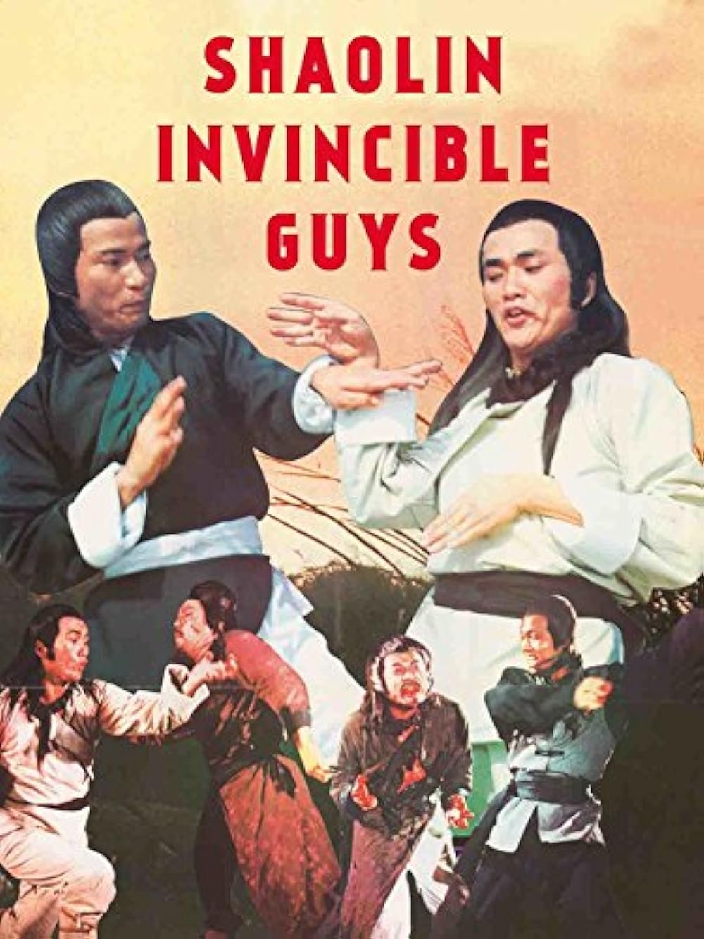 Shaolin Invincible Guys photo