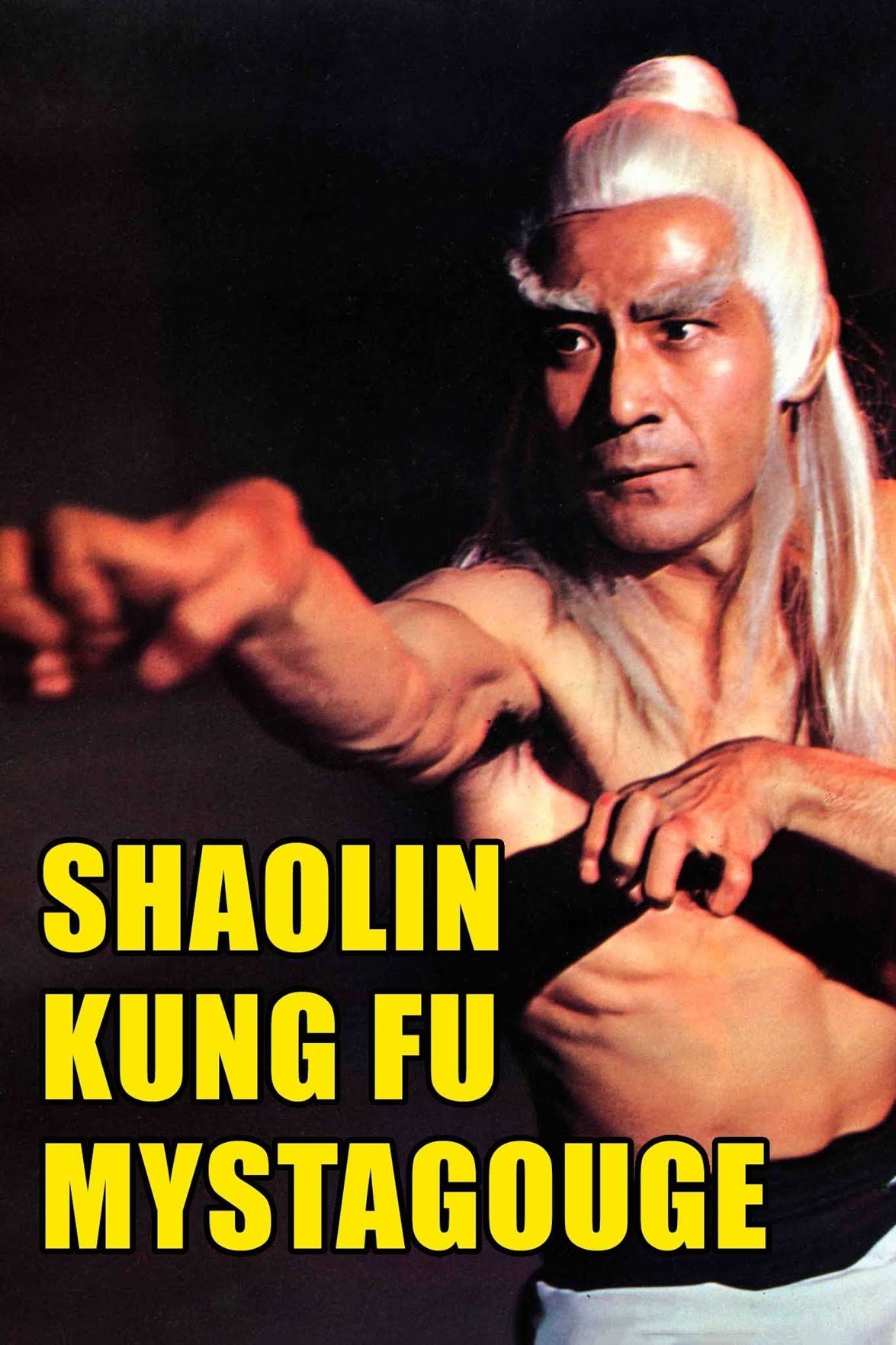 Shaolin Kung-Fu Mystagogue photo
