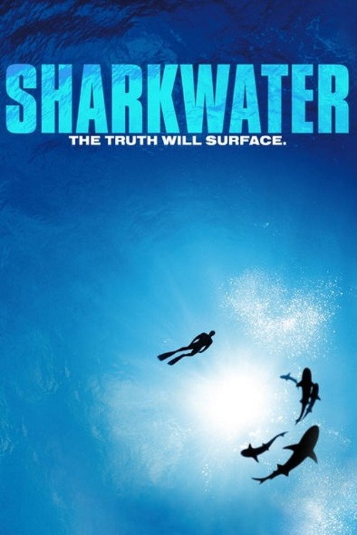 Sharkwater photo