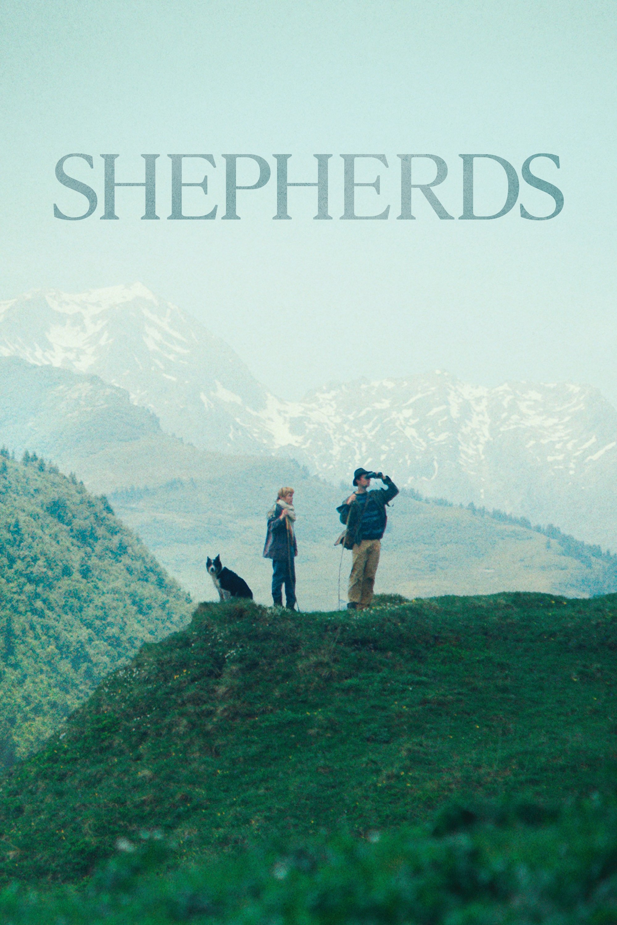 Shepherds photo