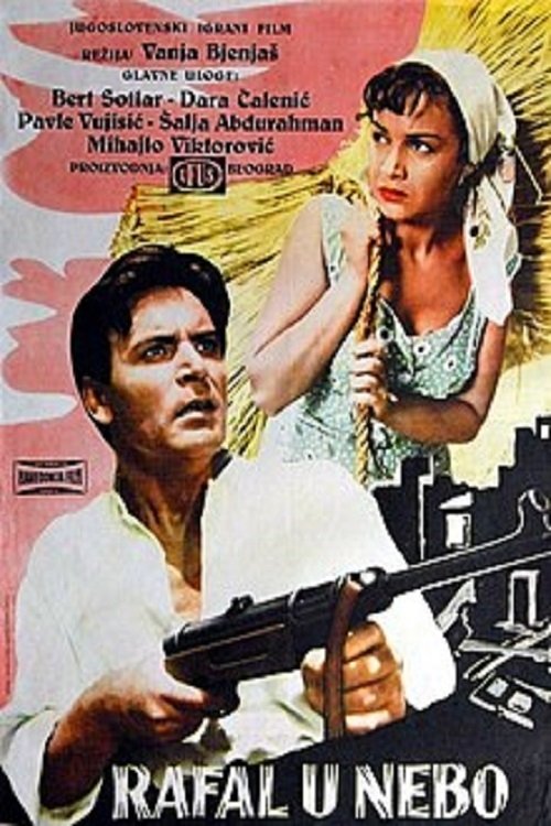 Shots in the Sky photo