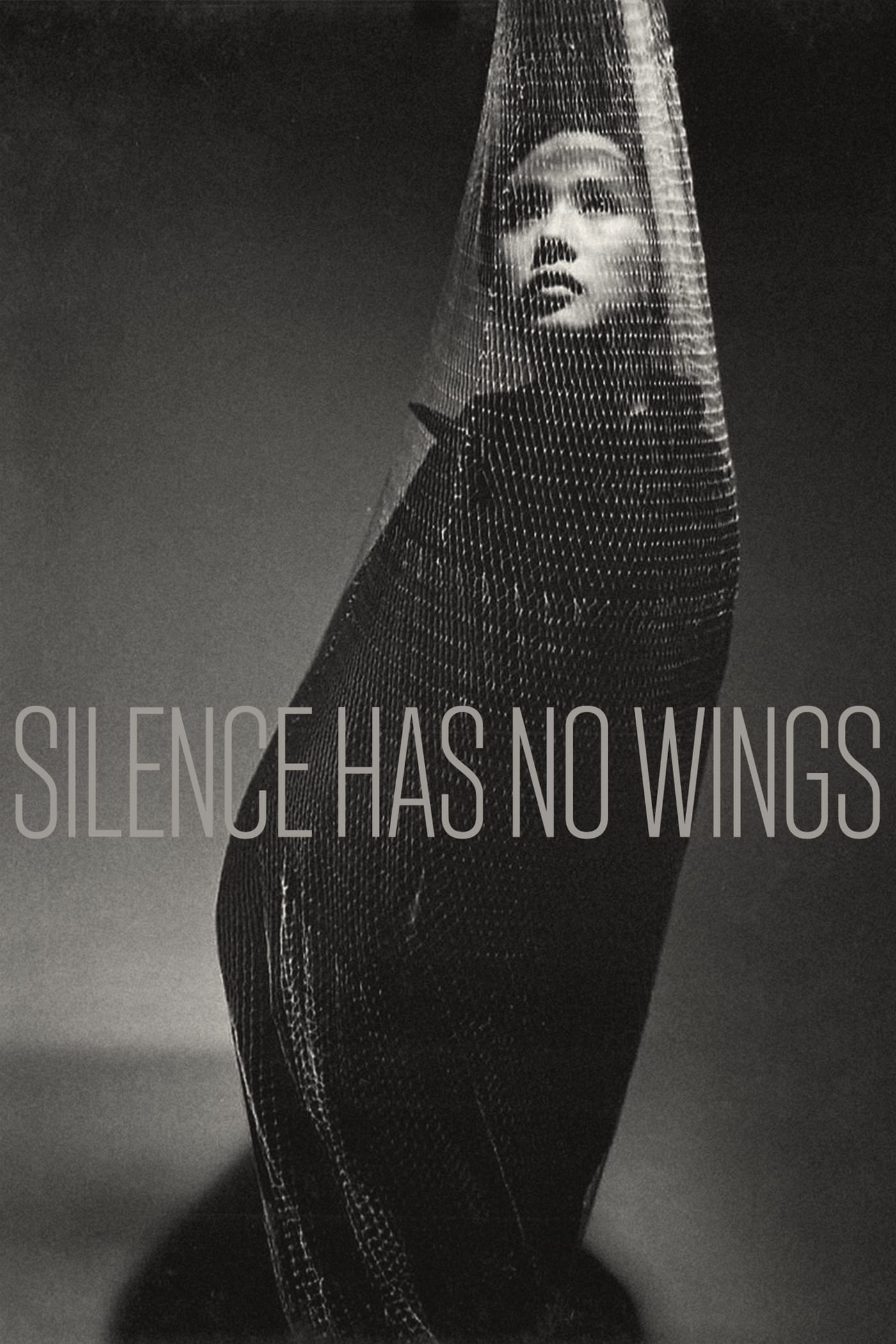 Silence Has No Wings photo