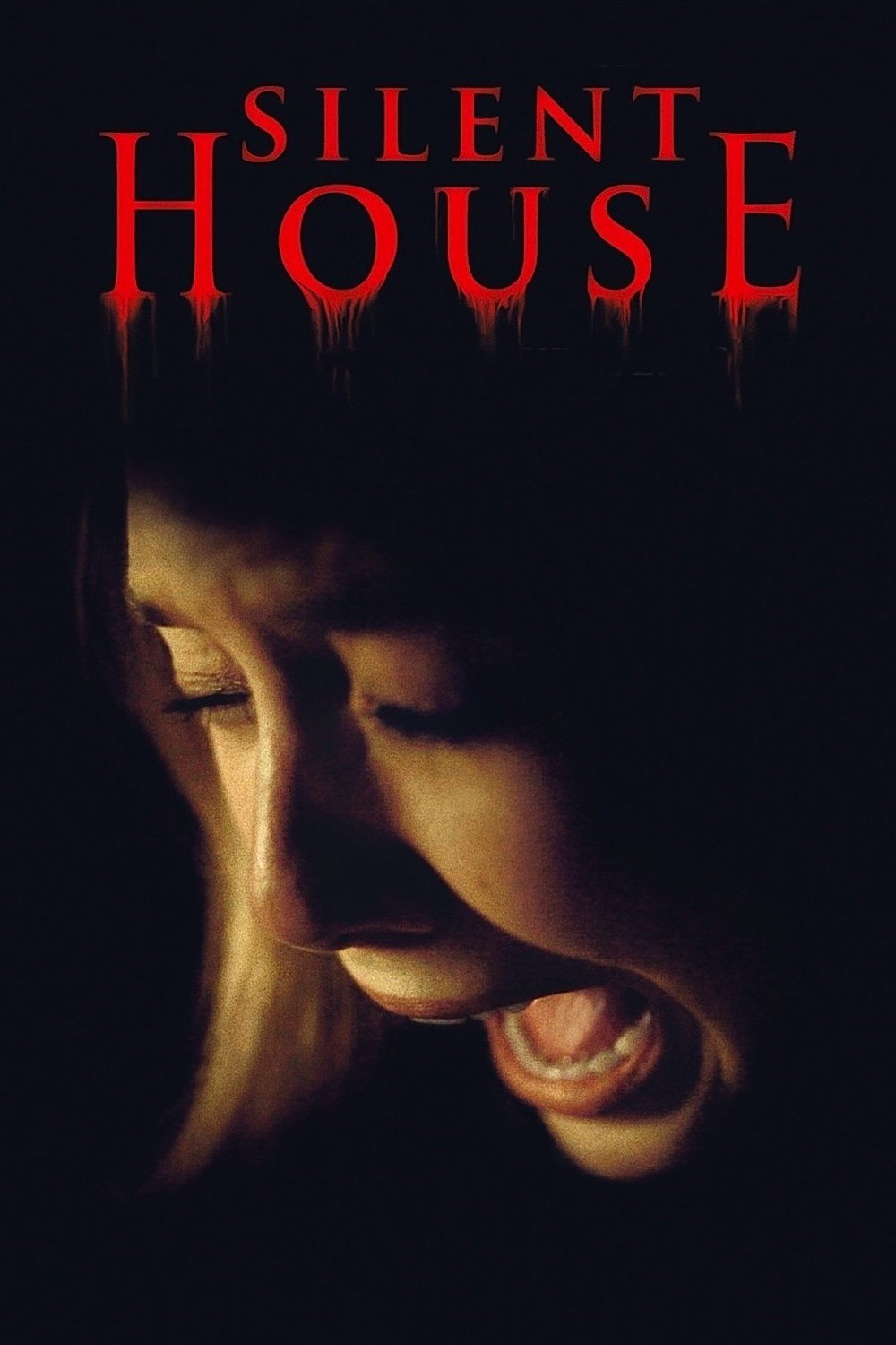 Silent House photo