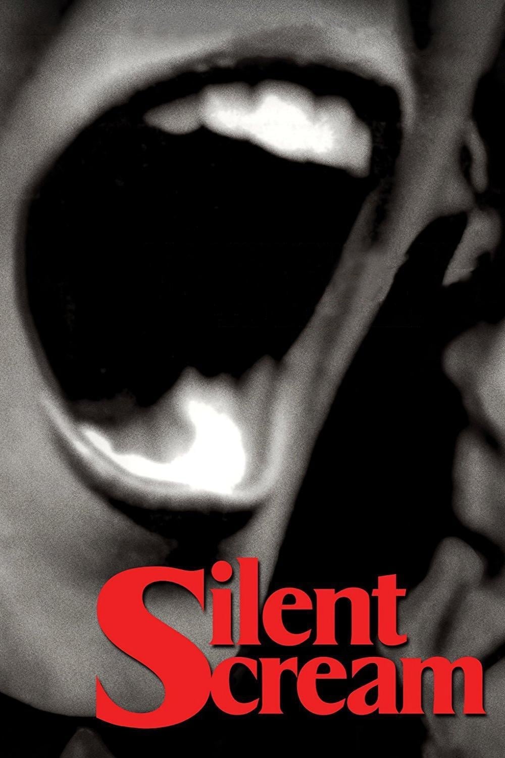 Silent Scream photo