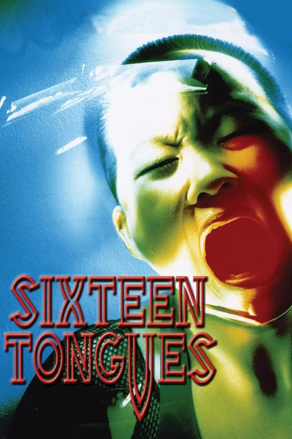 Sixteen Tongues photo