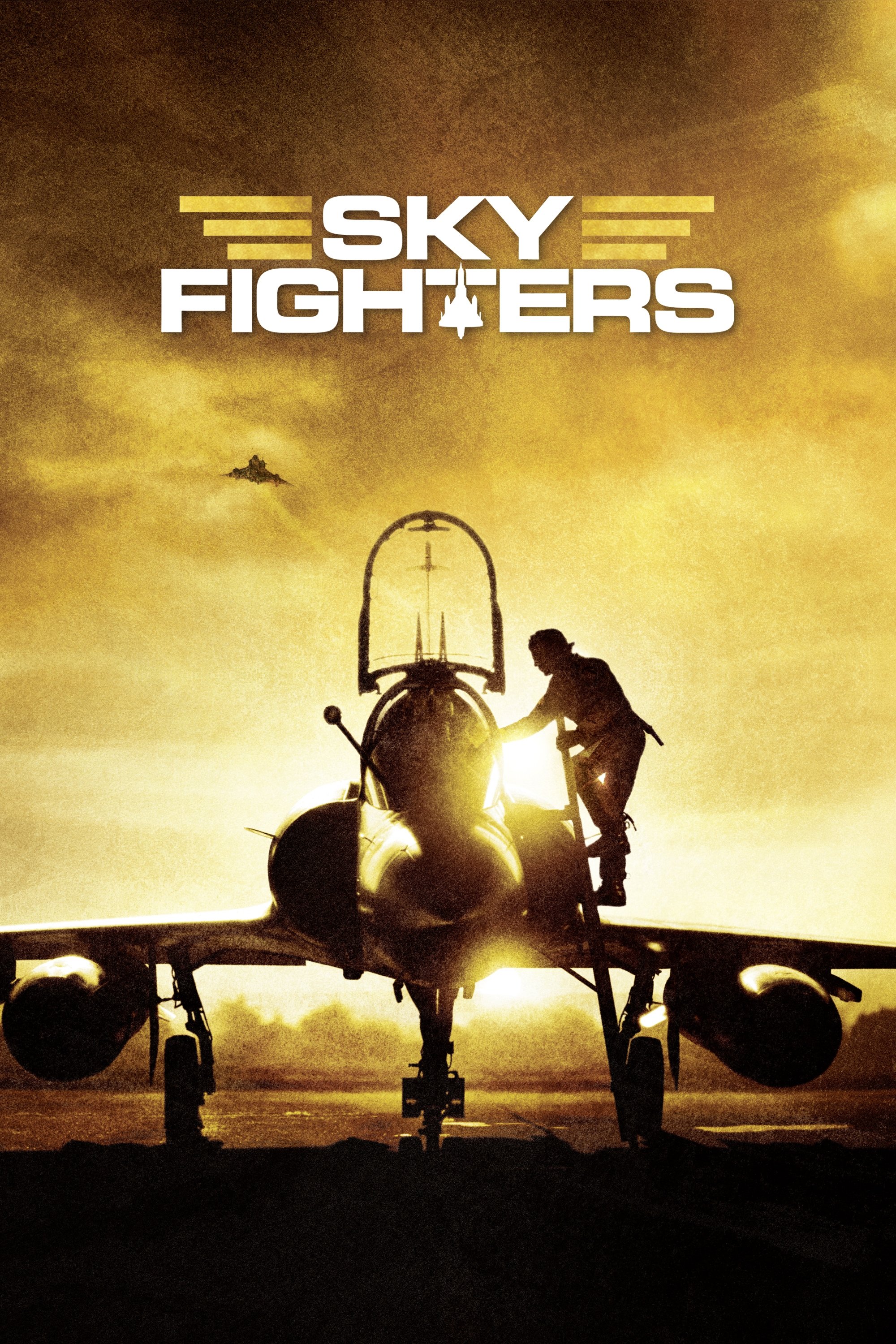 Sky Fighters photo