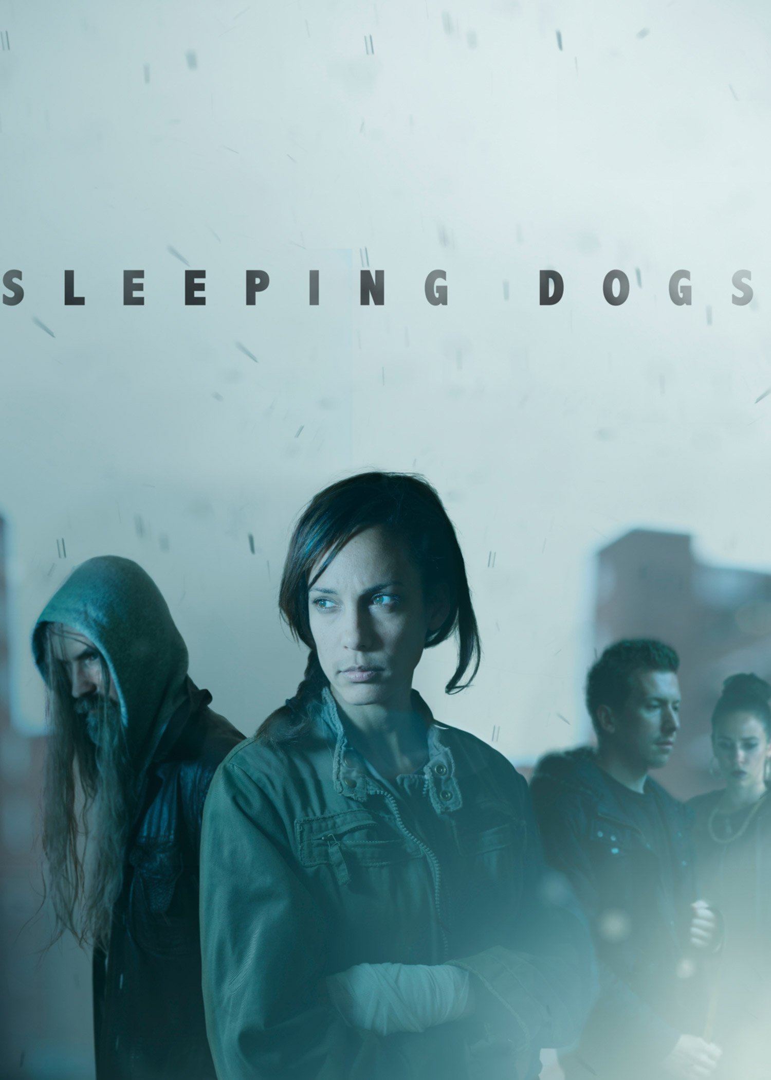 Sleeping Dogs photo