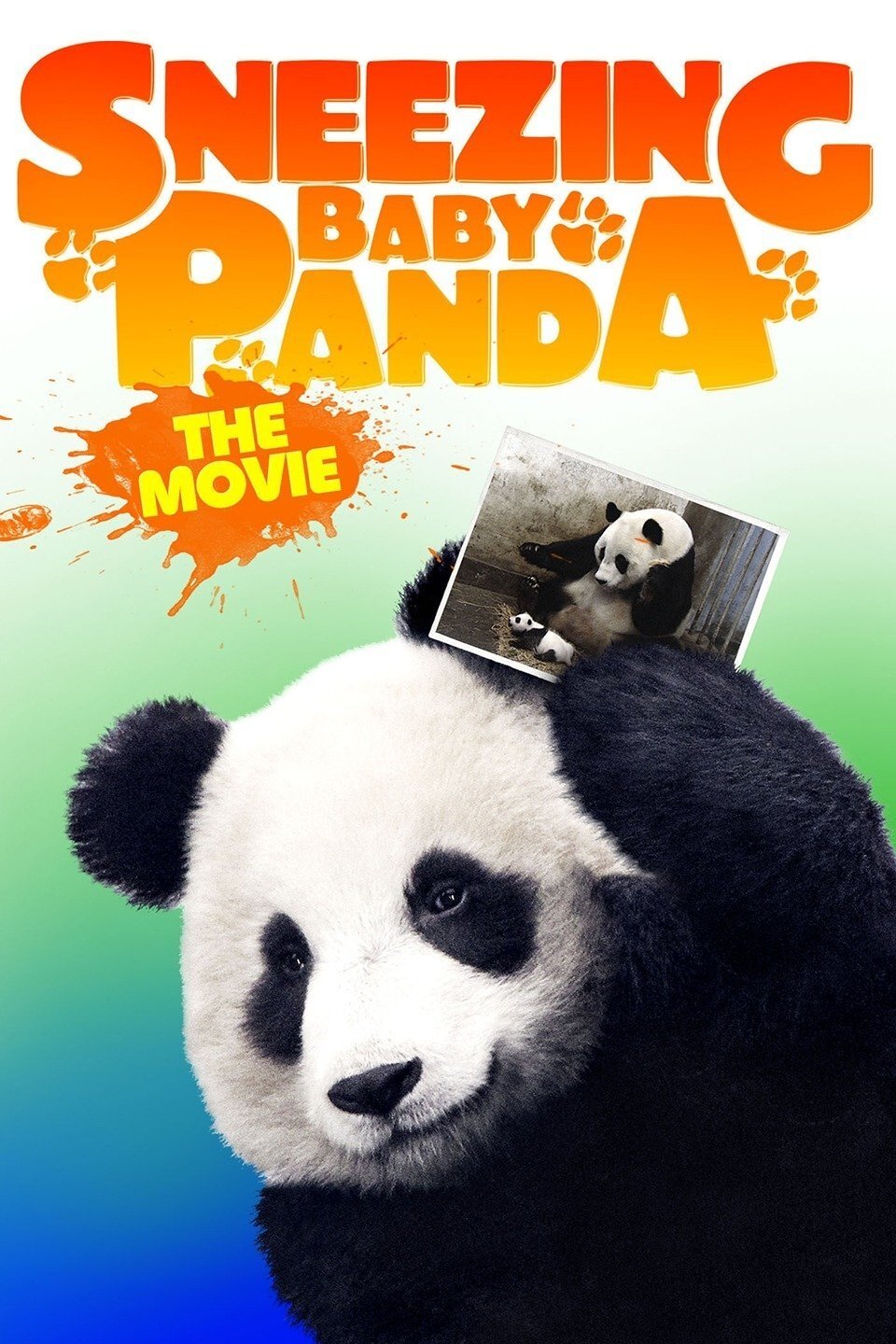 Sneezing Baby Panda: The Movie photo