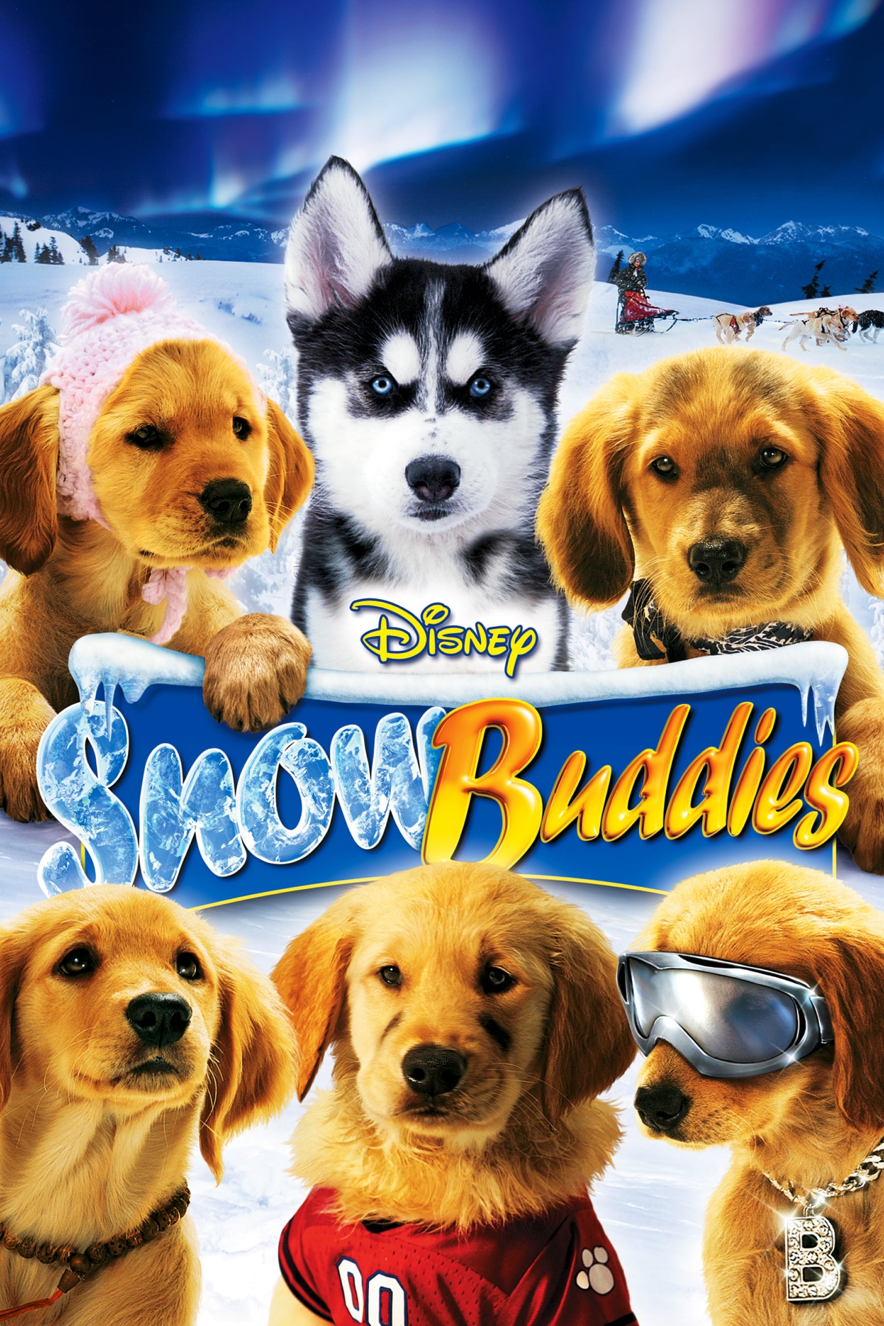 Snow Buddies photo