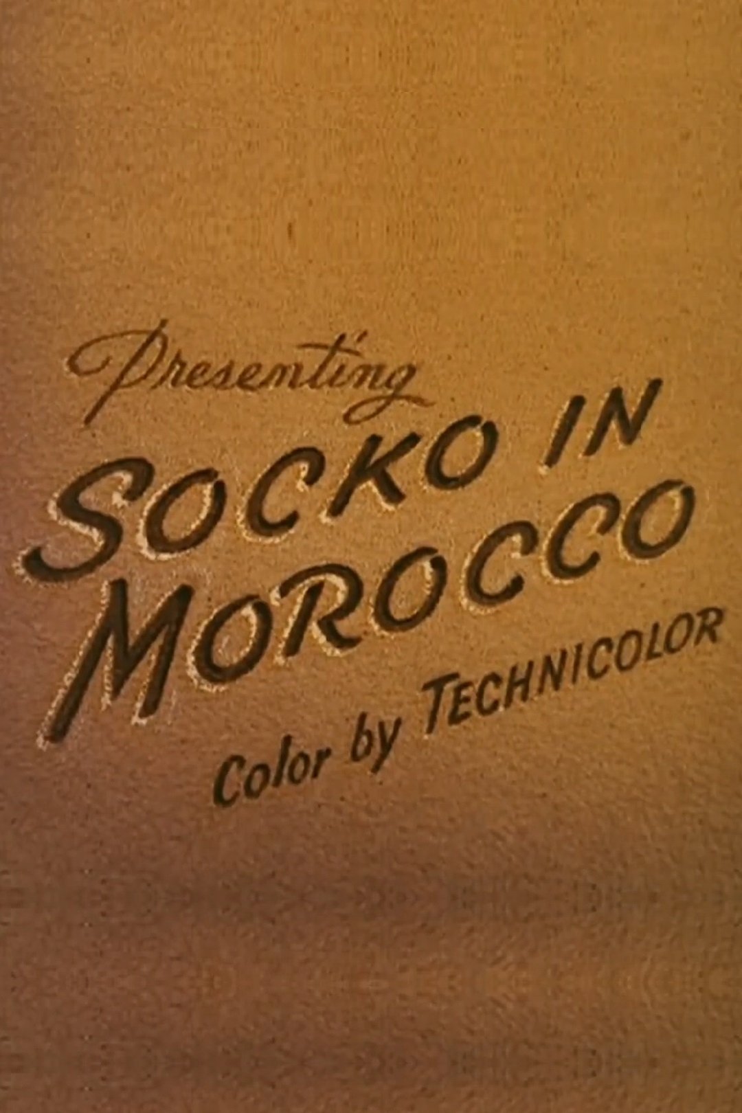 Socko in Morocco photo