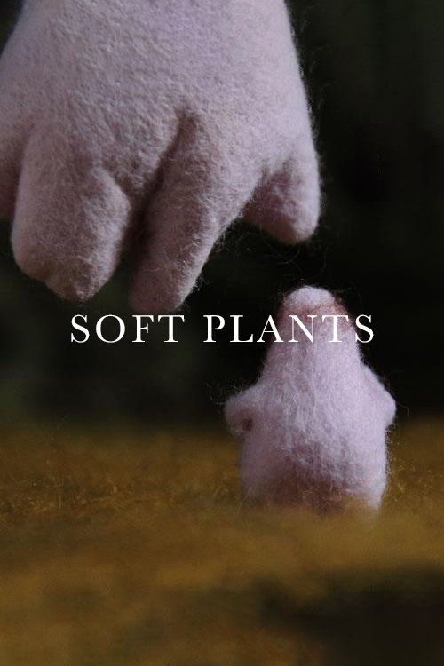 Soft Plants photo