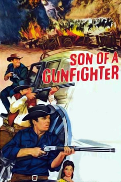 Son of a Gunfighter photo