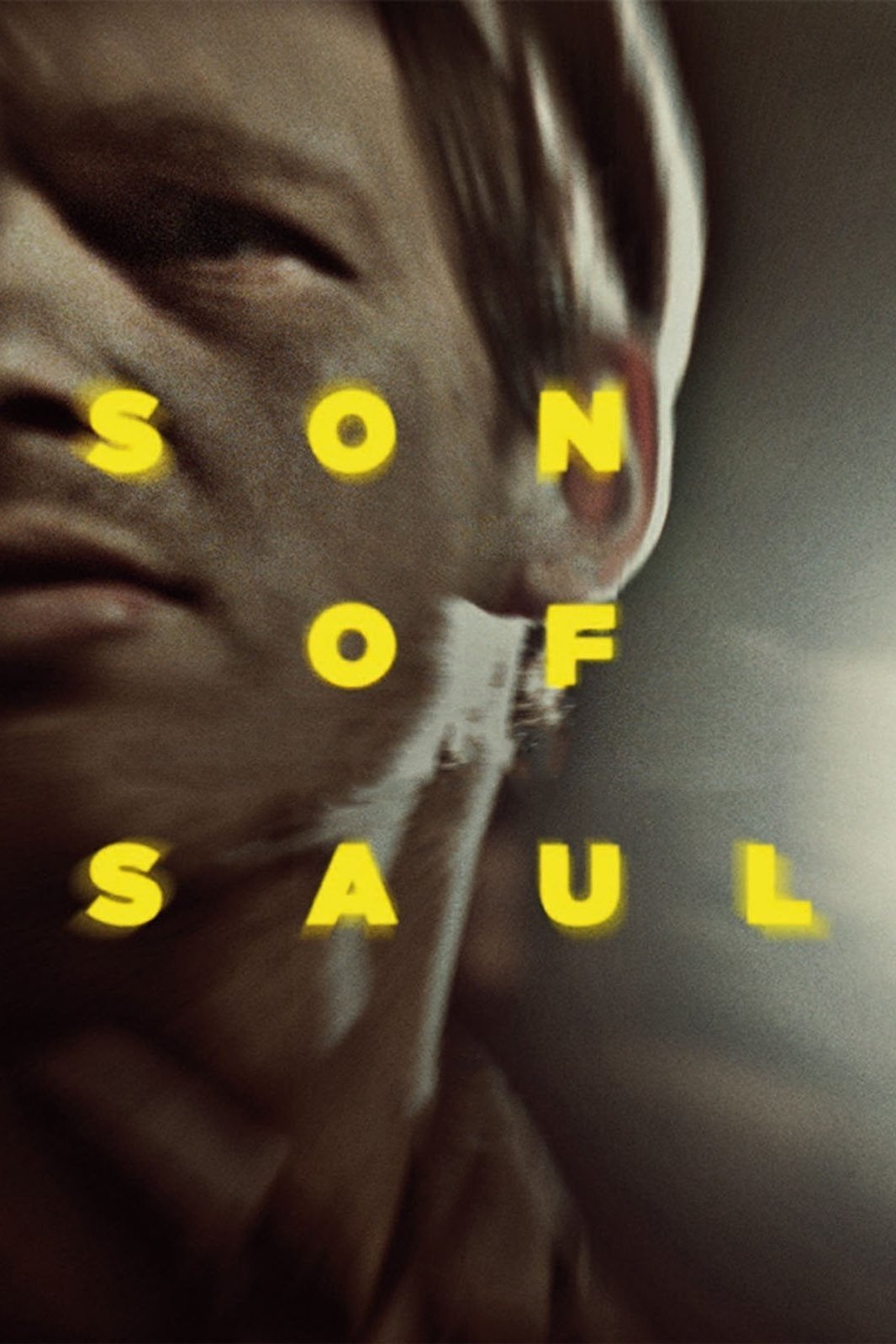 Son of Saul photo