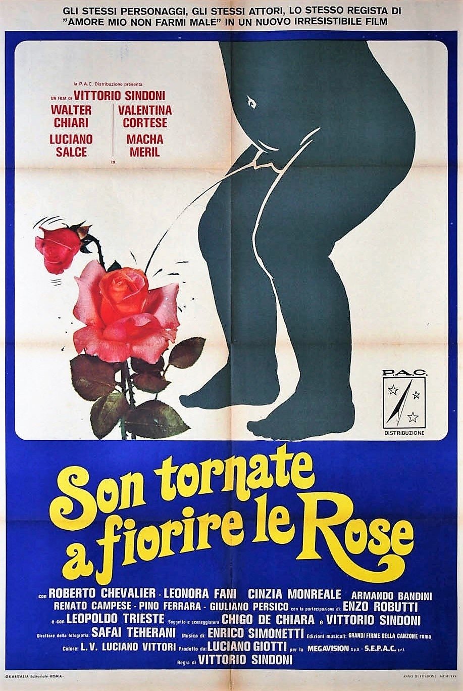 Son tornate a fiorire le rose photo