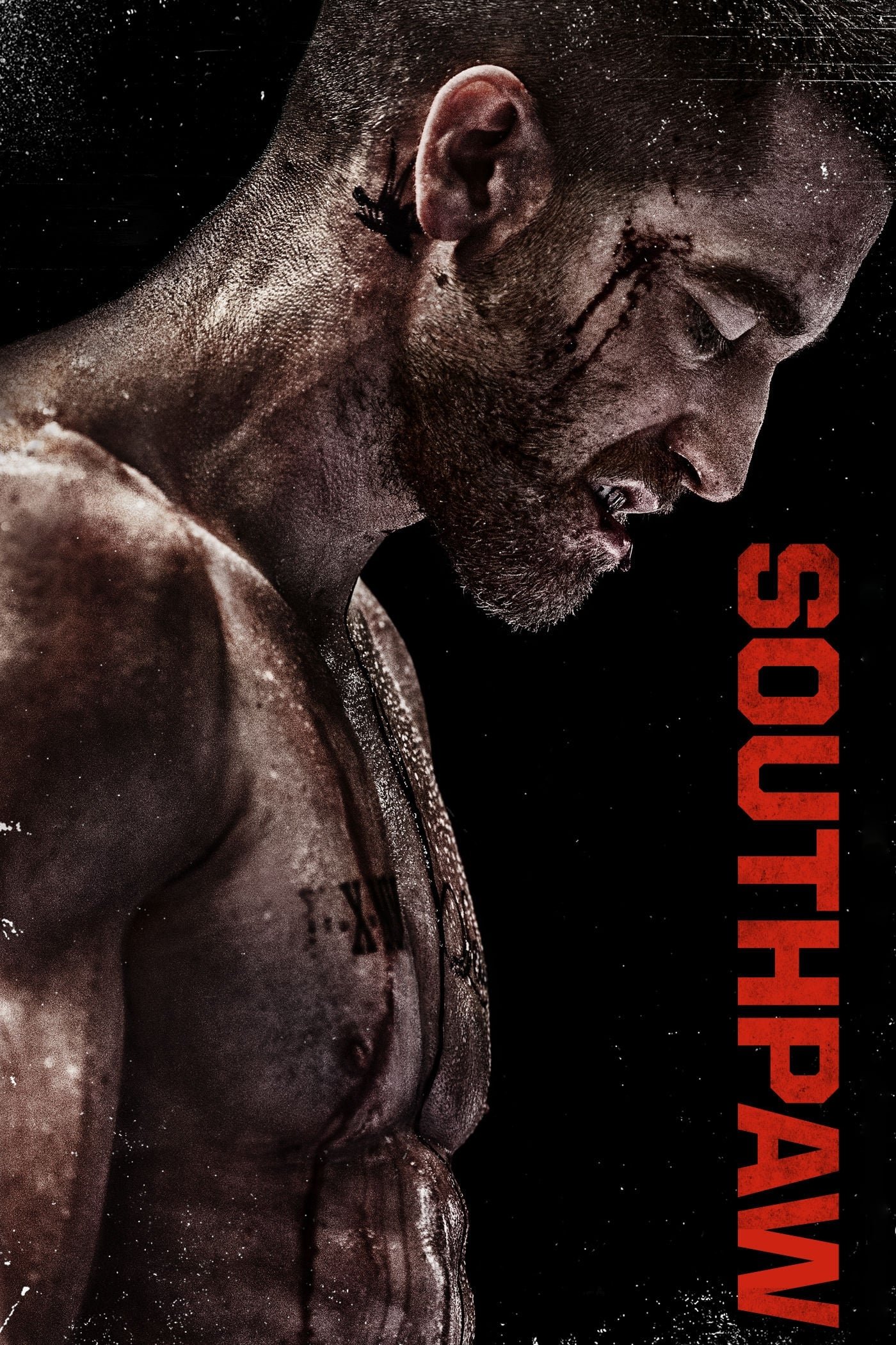 Southpaw photo