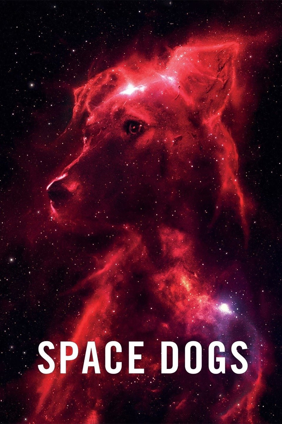 Space Dogs photo