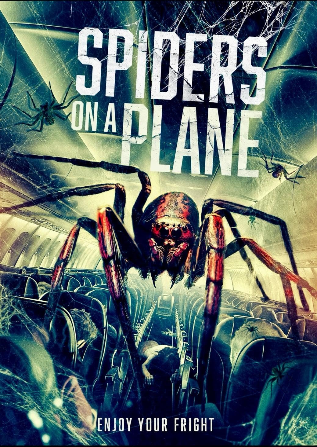 Spiders on a Plane photo