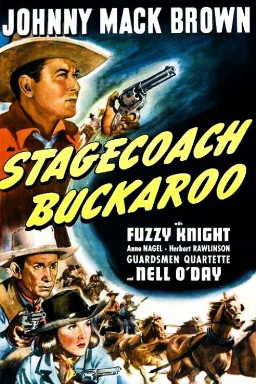 Stagecoach Buckaroo photo
