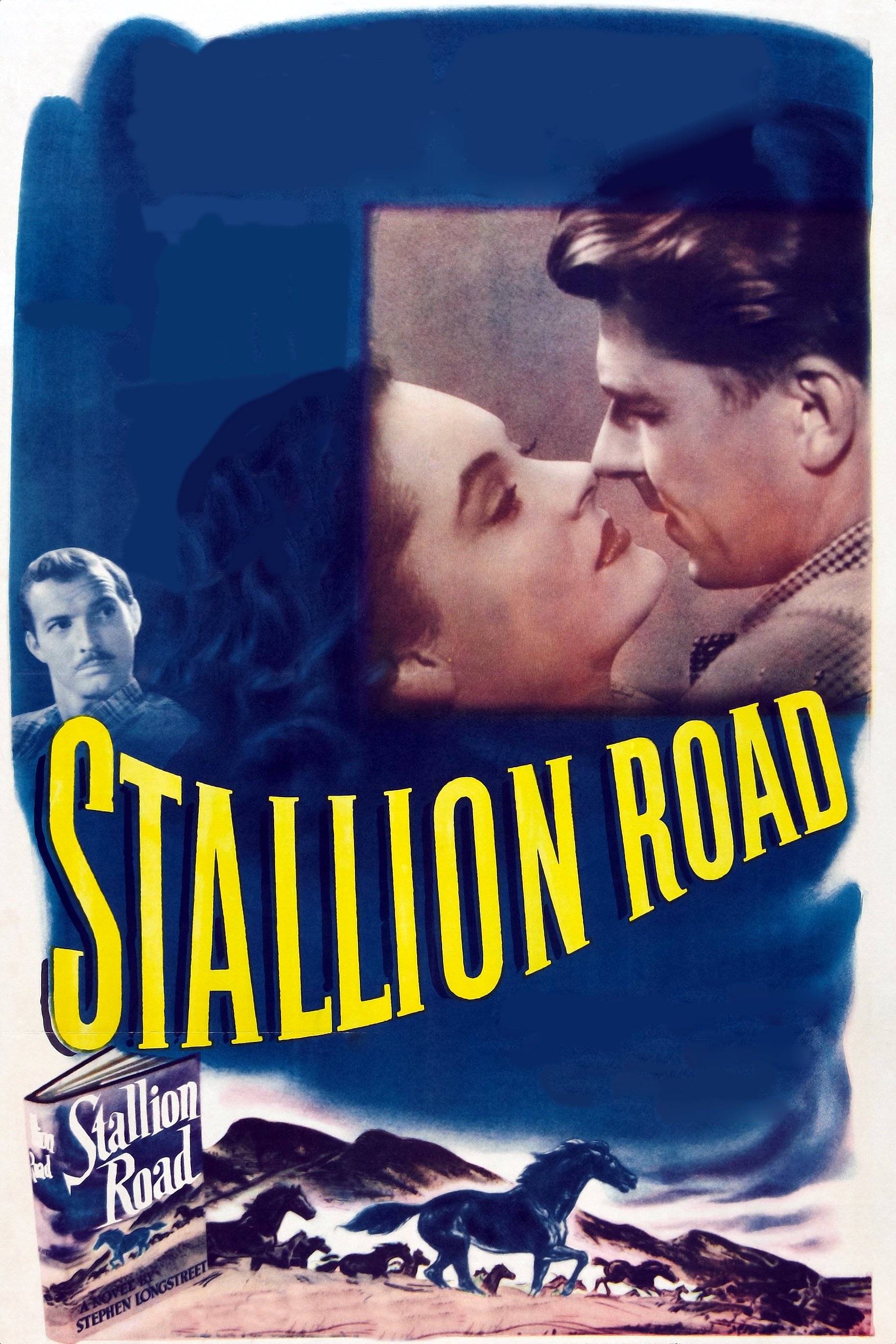 Stallion Road photo