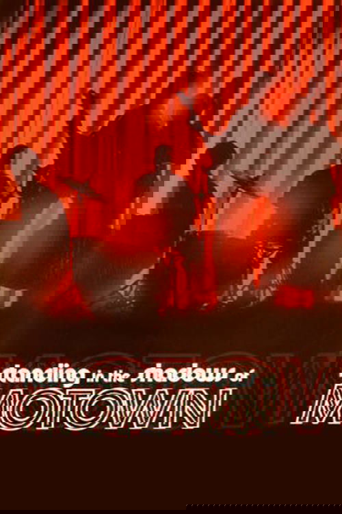 Standing in the Shadows of Motown photo