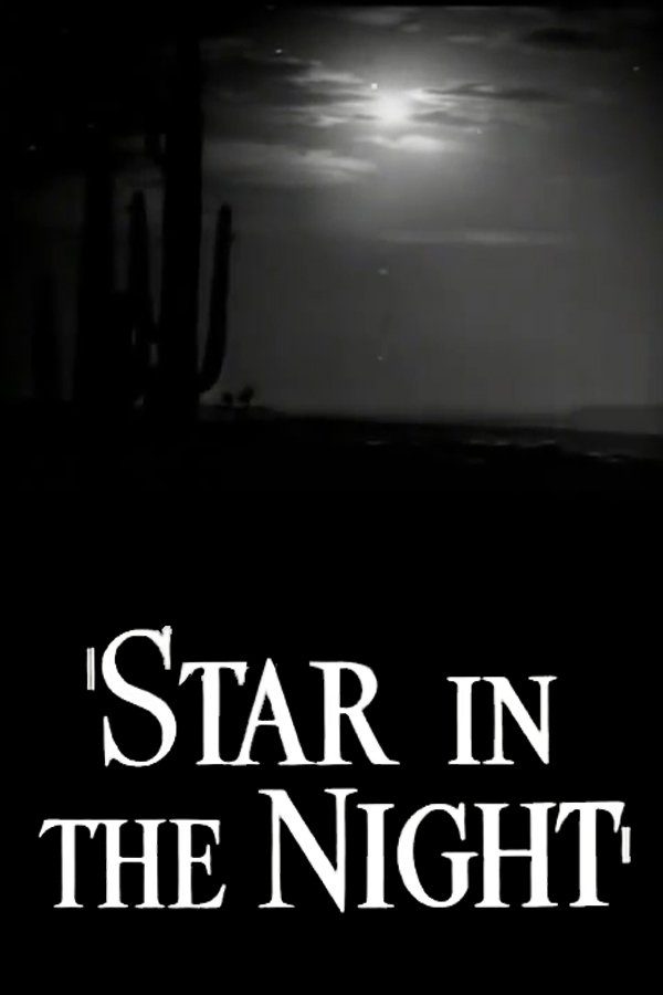 Star in the Night photo