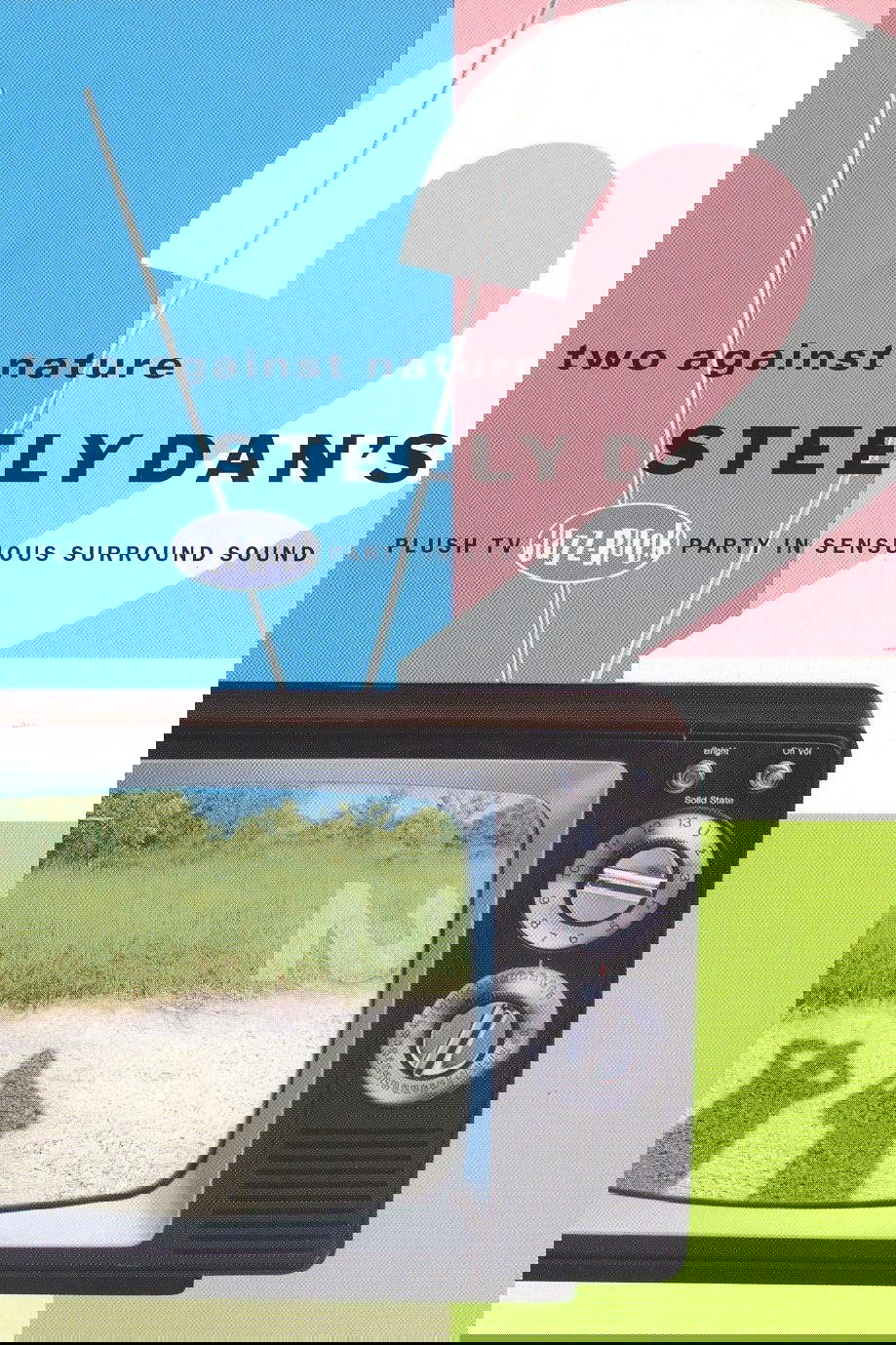 Steely Dan: Two Against Nature photo