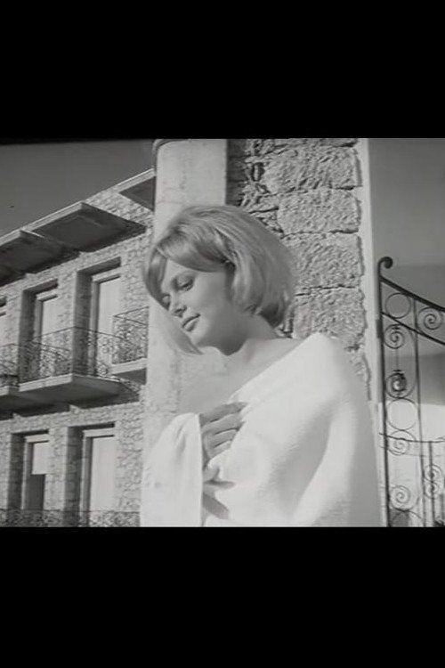 Stop-over Forever photo