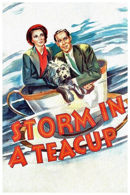 Storm in a Teacup photo