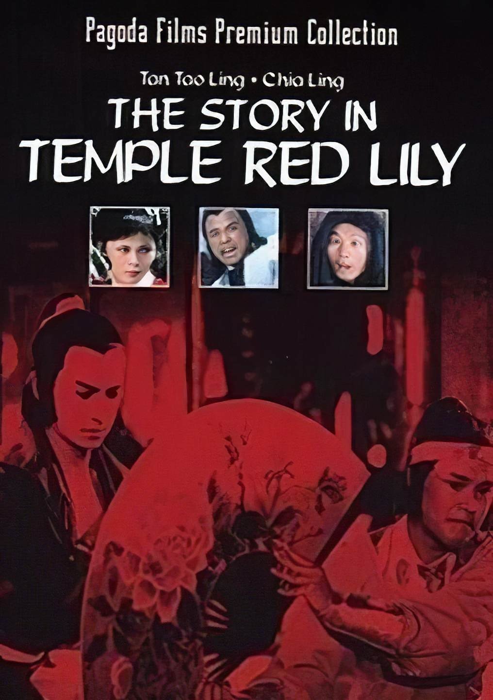 Story in the Temple Red Lily photo