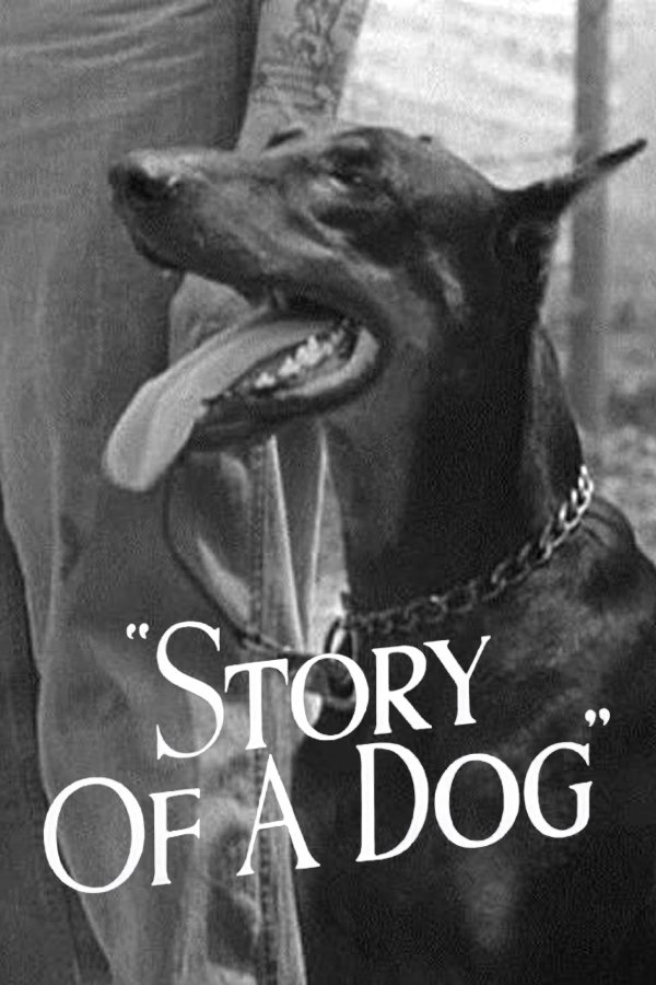 Story of a Dog photo