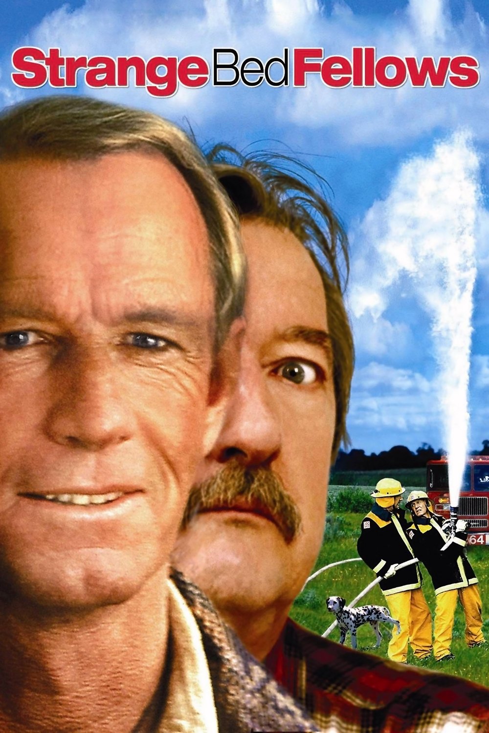 Strange Bedfellows photo