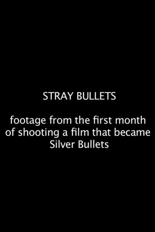 Stray Bullets photo