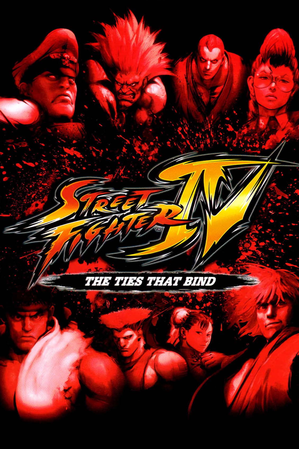 Street Fighter IV: The Ties That Bind photo