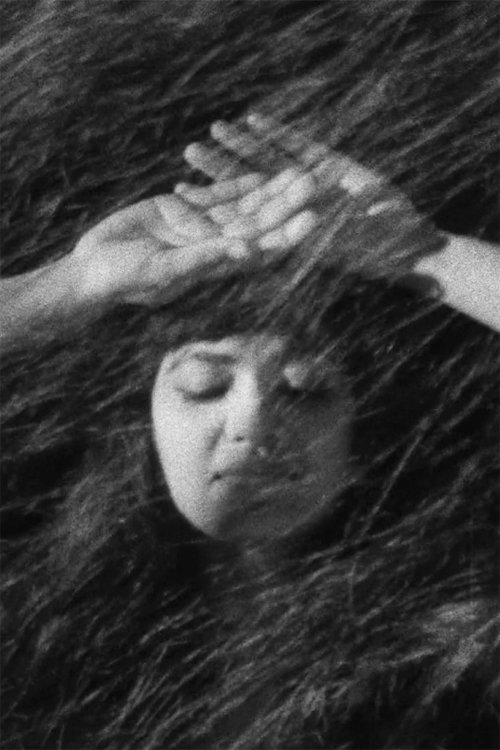 Studie V: Växelspel photo